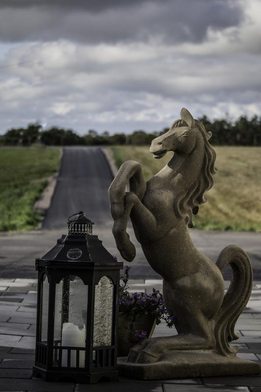 Stall Haellarp Falkenberg Exteriér fotografie